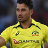 Marcus Stoinis Net Worth