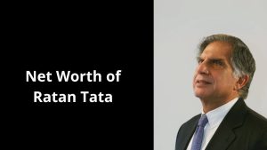 Net Worth of Ratan Tata